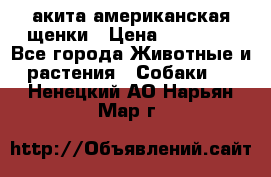 акита американская.щенки › Цена ­ 75 000 - Все города Животные и растения » Собаки   . Ненецкий АО,Нарьян-Мар г.